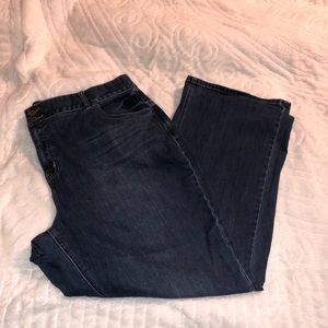Lane Bryant jeans size 24